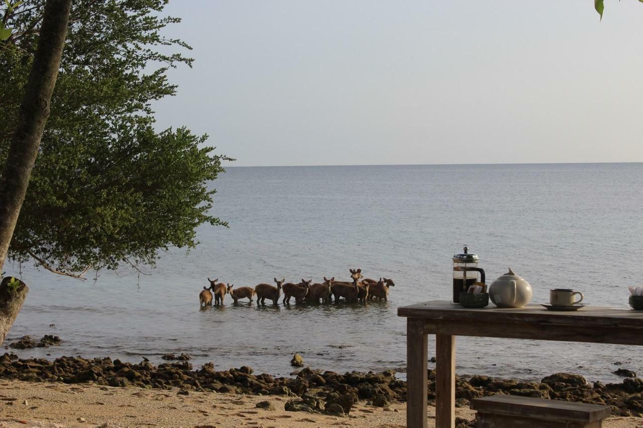 Nusabay Menjangan Banyuwedang Esterno foto