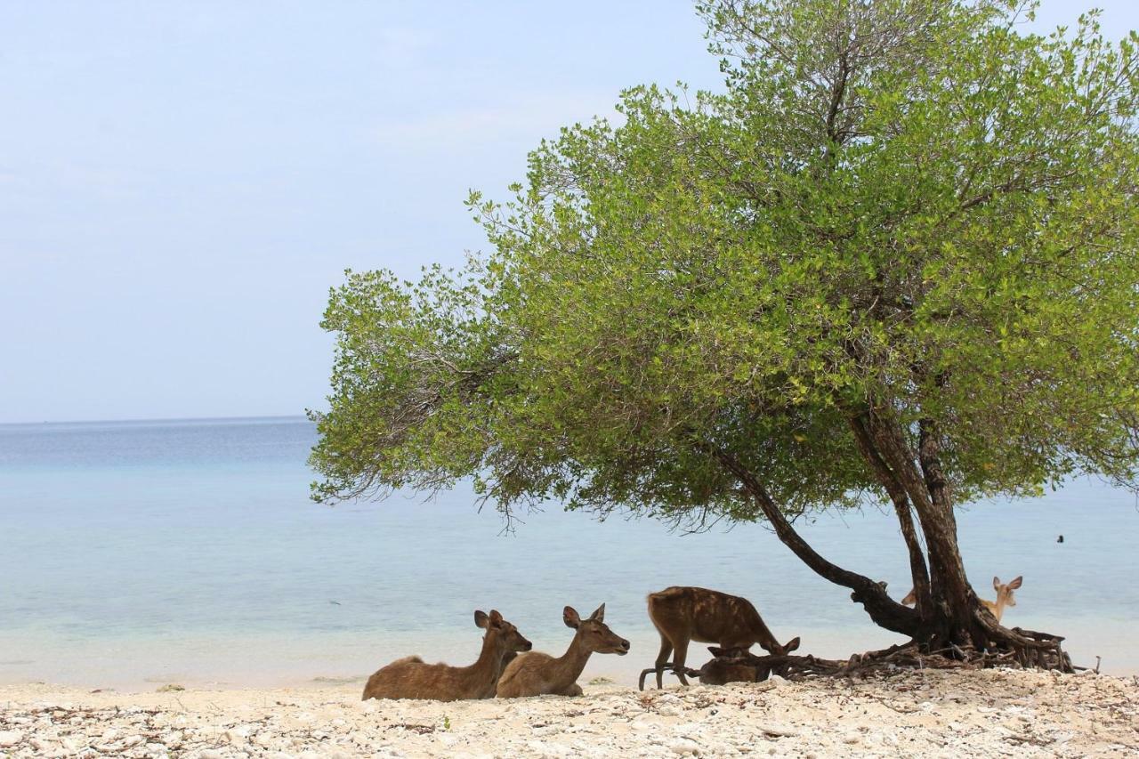 Nusabay Menjangan Banyuwedang Esterno foto